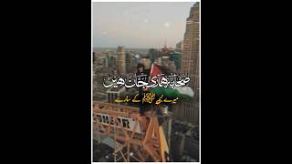 New nazam  jihadi nazam  hamare sahaba islamicshorts islamicmusic islamicsong makkah duet [upl. by Koslo]