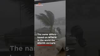 What is the difference between a hurricane typhoon and a cyclone [upl. by Kellia]