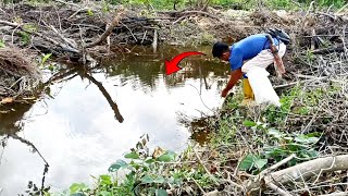 pasang jaring ikan lele liar di sungai yang berwarna hitam bekas galian yang sudah lama [upl. by Tayib483]