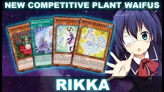 RIKKA NEW COMPETITIVE PLANT XYZ WAIFUS Antinomic Theory YuGiOh Duel Links [upl. by Aerdnas]