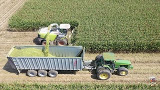 Chopping Corn Silage near Greensburg Indiana [upl. by Antone426]