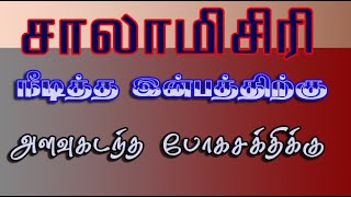 orchis mascula சாலாமிசிரியின் வைத்திய முறைகள்  salamisiri [upl. by Mears]