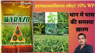 pyrazosulfuron ethyl 10 wp uses in hindipyrazosulfuron ethyl 10 wp uses in hindi dose [upl. by Atrahc863]