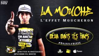 La Mouche  Interlude wanegaine  Leffet Moucheron AlbumDispo Fnac Itunes [upl. by Rubbico]