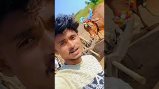 Adivasi gana 2024 🚀🧨reelsvideo youtubeshorts shortvideo [upl. by Bala41]