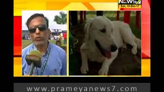 Dog Show at Bhubaneswar SOA ground [upl. by Preuss]