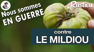 Mildiou de la tomate et étés pluvieux  comment lutter contre cette maladie cryptogamique [upl. by Arihaj]