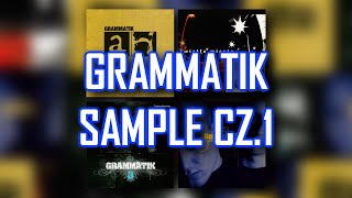 Grammatik  Sample cz 1 [upl. by Huberto]