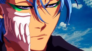 Grimmjow Returns to Settle Old Scores With Ichigo  Bleach [upl. by Ri]