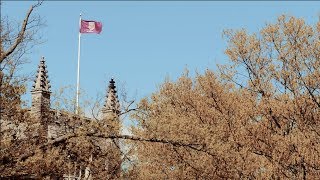 A Message from our McMaster Alumni Honorary Doctorates  Spring 2018 [upl. by Ased]