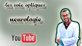 les voies optiques [upl. by Raddi]