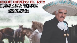 Las Llaves de Mi Alma  Vicente Fernández  Chuy García [upl. by Taddeo]