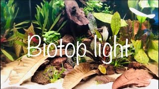 2 Biotop light Aquarien aquaristik [upl. by Fisa718]