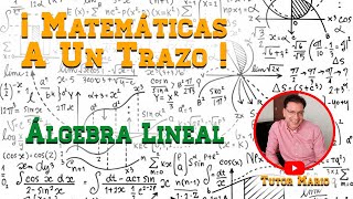 VECTORES BIDIMENSIONALES  CALCULO VECTORIAL [upl. by Aiekam630]