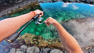 Amazing Fishing in Crystal Clear Rock Pools [upl. by Maxama]