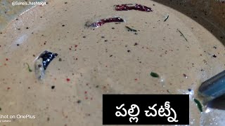 Palli Chutney telugu  Sanashashtag [upl. by Judie]