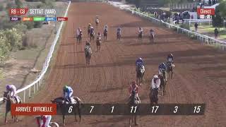 Live Hippodrome « SETTAT »  Courses du « 29112023 » [upl. by Lefton]