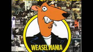 Screeching Weasel  Video [upl. by Clance]