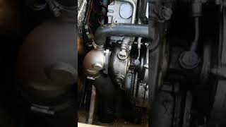 Yanmar 4lh te forst start after turbo cleaning [upl. by Barram]