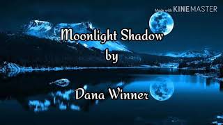 Moonlight Shadow by Dana Winnerwith lyrics [upl. by Kuehnel]