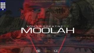 YOUNG GREATNESS MOOLAH INSTRUMENTAL [upl. by Ellehsat]