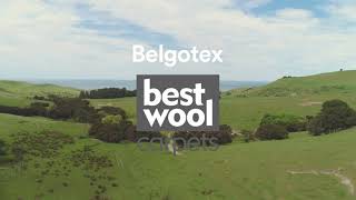 Best Wool Carpets [upl. by Denison763]