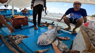 KITANG PALANGRE  Hunt for BIGGEST GROUPER and TREVALLY day one [upl. by Carney196]