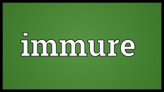 Immure Meaning [upl. by Llered739]