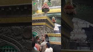 Mashhad  quotInside Imam Reza Shrine Unveiling the Sacredquot Latest Video imamreza [upl. by Adele]