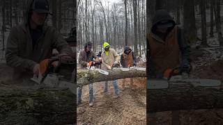 Stihl 500i vs Stihl 400c vs Stihl 291 stihl chainsawman chainsaw cuttingwood madeingermany [upl. by Liggett]