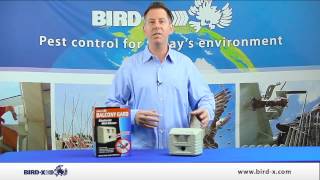 BirdX Balcony Gard Product Video [upl. by Airotkciv]