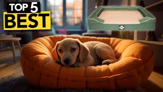 TOP 5 Best Dog Bed  2024 Buyers Guide [upl. by Yelrihs269]