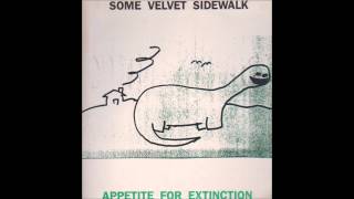 Some Velvet Sidewalk  Hurt [upl. by Ashely]