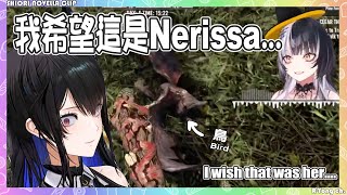 【Shiori Novella 】Nerissa加入通話 Shiori表示 每次看到鳥都希望是妳 Biboo 然後我們就宰了牠wwww 【Hololive EN】 [upl. by Messing]