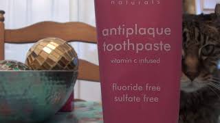 DR BRITE TOOTHPASTE ANTI PLAQUE FLOURIDE FREE BERRYLICIOUS REVIEW [upl. by Sama]