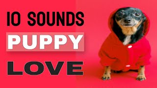 10 Sounds Puppy Love The Most [upl. by Felisha]