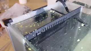 Fluval Spec Surface Skimmer Demo  inTank [upl. by Giwdul]