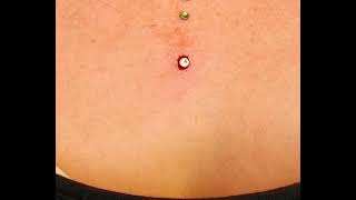 The Piercings MicroDermal Piercing by Ferry wwwthepiercingseu  Instathepierc [upl. by Ahsatan60]