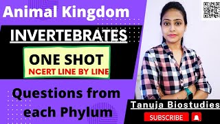 Animal Kingdom  Invertebrates  One shot  Complete NCERT  Non Chordates  Class 11 Biology NEET [upl. by Eidur428]