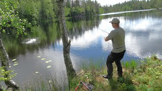 Effektivt markfiske Fiskemetoder aktivt fiske og kilosørret [upl. by Relda592]