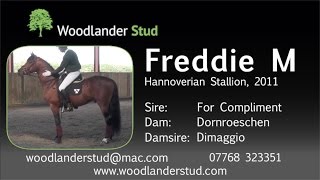 Freddie M at Woodlander Stallion Day 3515 [upl. by Nekcerb456]