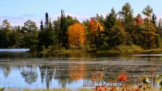 LEO ROJAS COLORFUL AUTUMN Pan Flute [upl. by Eekram]