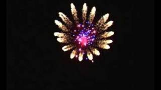 Fireworks Display Shell Effect5quot butterfly with color pistil [upl. by Hairej]