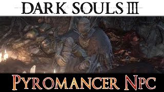 Dark Souls 3  NPC Cornyx Della Grande Palude Mercante Piromanzie [upl. by Fredek]