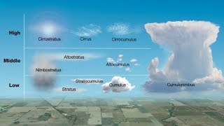 Types of Clouds [upl. by Azeret995]