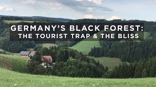 Black Forest  Sustainable Tourism  Discover Germany [upl. by Novhaj]