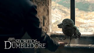 Deleted Scene Hogwarts Owlery  Fantastic Beasts The Secrets of Dumbledore [upl. by Ellenij]