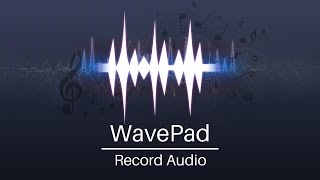 How to Record Audio  WavePad Audio Editor Tutorial [upl. by Yelyr]