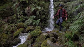 Hiking the INCREDIBLE Caldeirão Verde levada in Madeira [upl. by Aneerehs253]