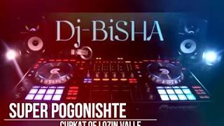 Lisi Elbasanit  Pogonishte amp Cupkat Qe Lozin Valle Official Audio HD [upl. by Moyers]